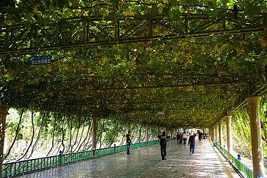 免费MMORPG《宝藏世界》银月遗落活动开启，混沌狼群肆虐